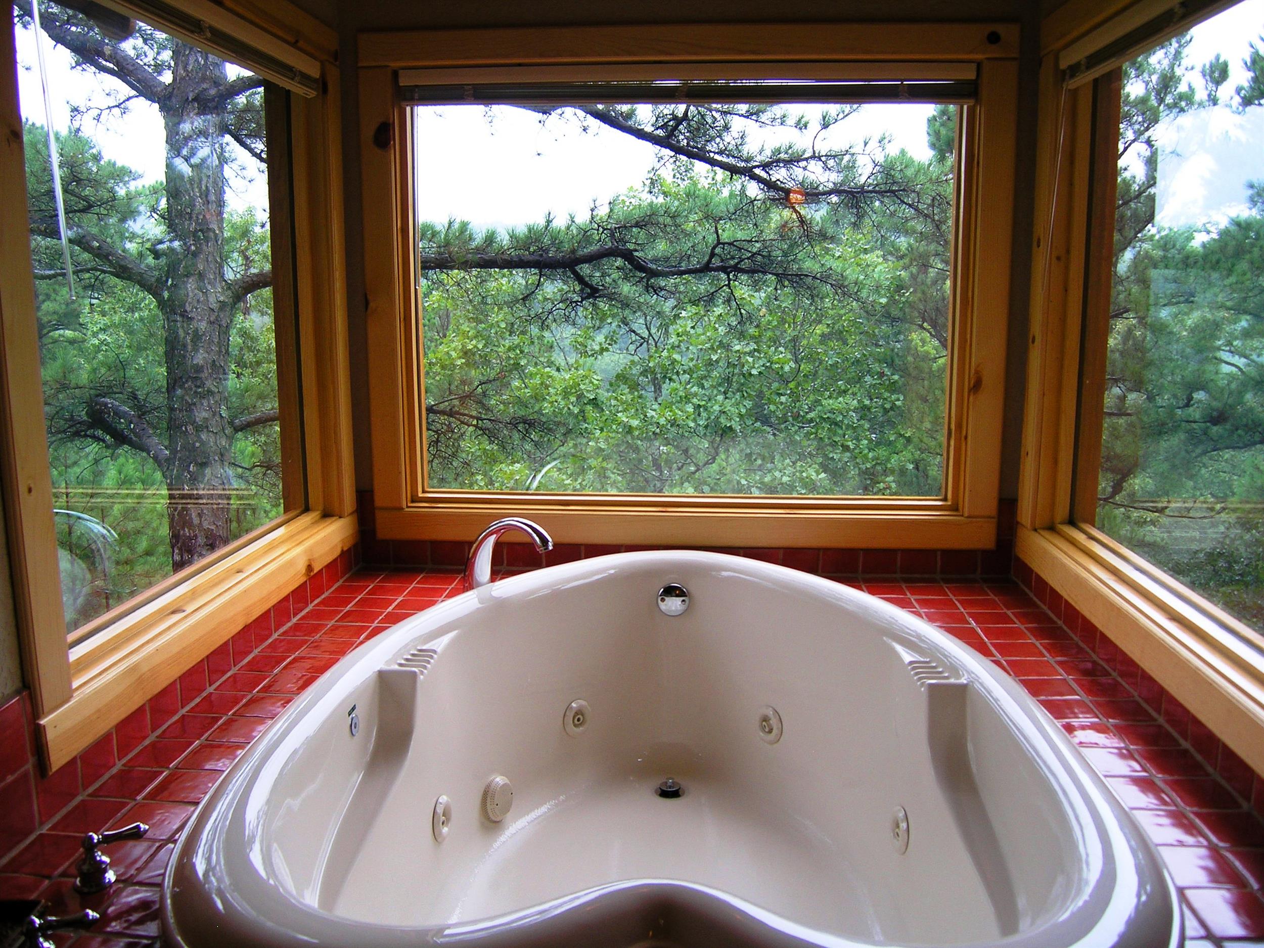 Lofty Lookout Jacuzzi